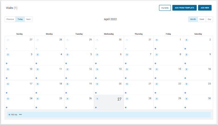 A screenshot of the Day calendar view.